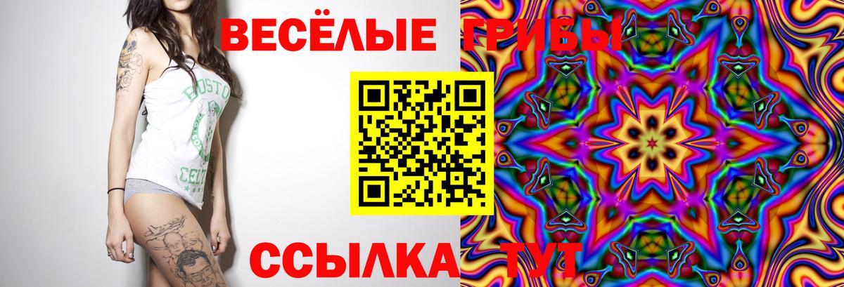Псилоцибиновые грибы мицелий Чусовой